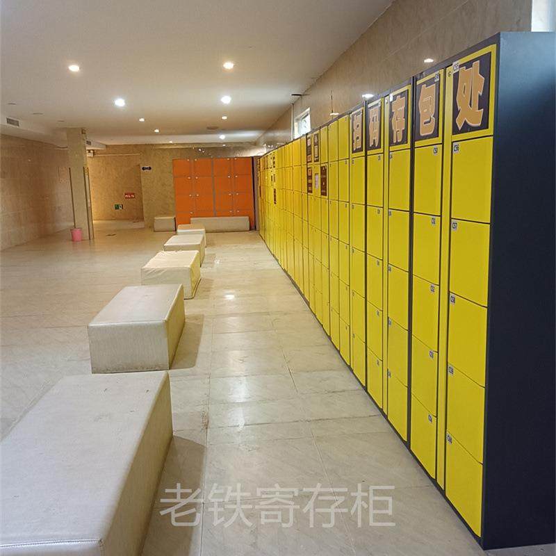 智能自编密码寄存柜/电子存包柜/储物柜/学校自用文件收发柜/双门