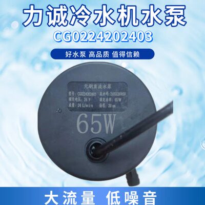 扬程DC65米直流水泵冷水机C240磁2022G3W水泵刷00电无力诚24V42
