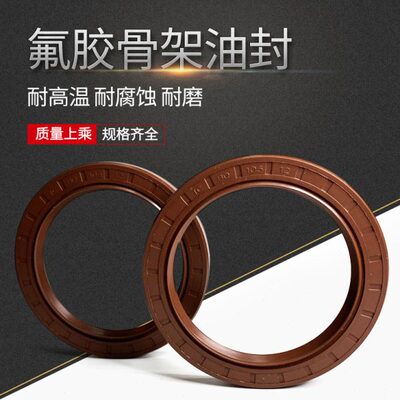 55氟胶骨架油封60 5*52050*5055*30*580C*40***70*20255**010T060