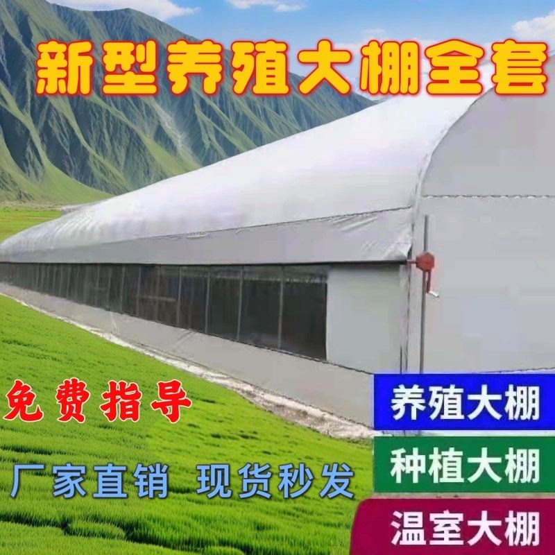 养殖大棚全套养鸡棚养鸭棚猪棚牛棚蔬菜大棚骨P架全套专用温室全