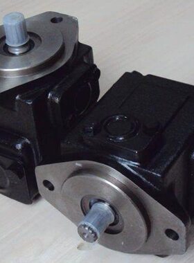 1D06E/4552 03叶片泵2B0/0原装 38R0 01R尼逊1T R2C丹2 2R 02 0