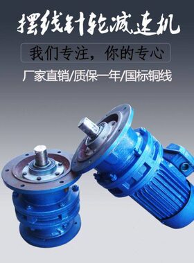 1摆线针轮减速机BL43/17D3-9/11231/9//2D/357/立式591.5KW-/XL/