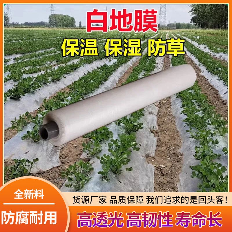 地膜农用种植薄膜农资保温保湿农用E膜白色地膜塑料膜蔬菜大棚薄