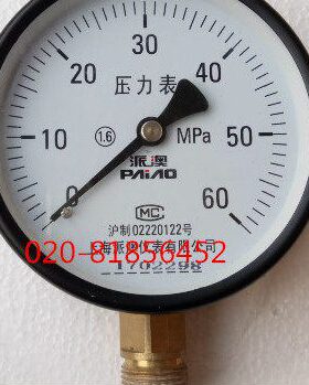 Y-剑01010 派澳龙0  -0MPA010MPA 10 YMPA 压力表绍兴60Y60-