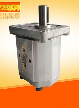 2012齿轮泵E/DC22D3BC018APD14D16///E/DB2/3D103D25D/油泵1/28D