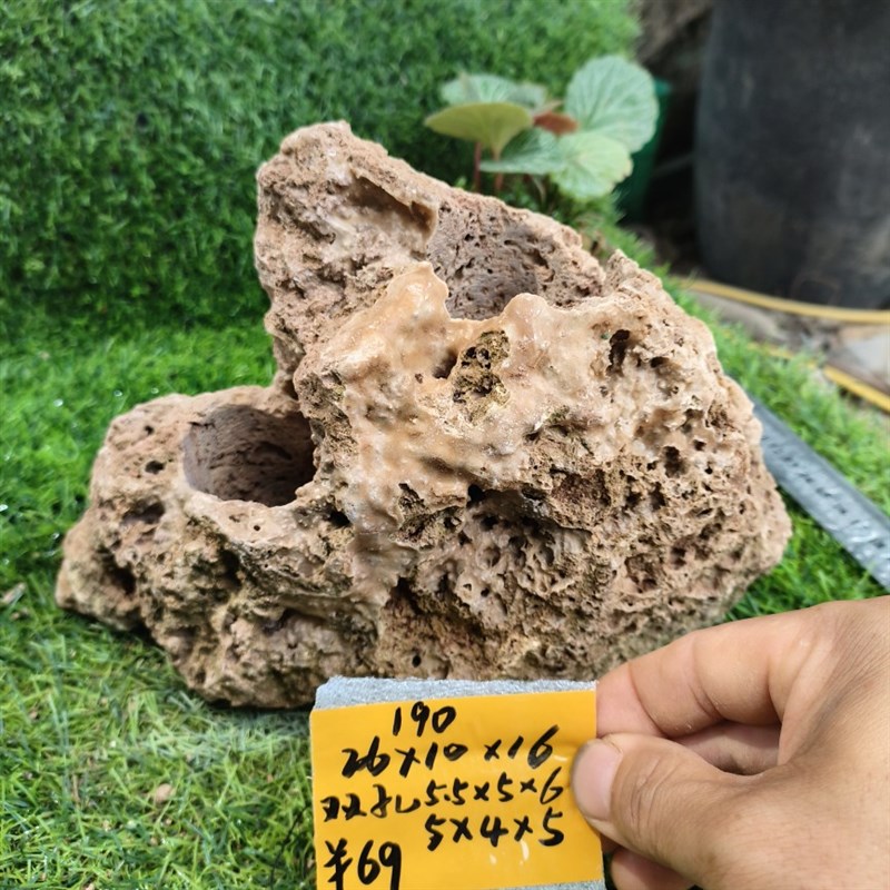 吸水石上水石小盆景石头自吸水花盆菖蒲石斛蕨类文竹小植物创意盆