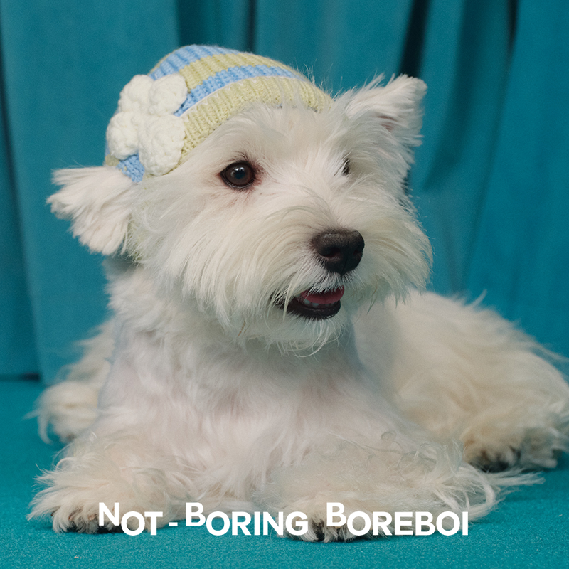 NBB狗狗露耳可爱针织帽头套保暖