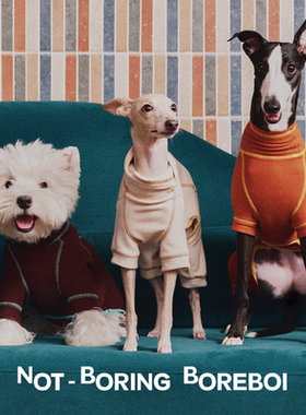 NB B丨狗狗德绒打底衫高弹力包肚皮保暖四脚衣中小型犬西高地灵缇