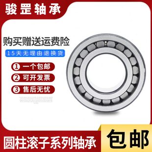 满滚子圆柱轴承 2206 3004 3005 2205 2210 2204 NCF SL18 2207