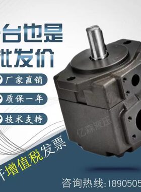 意大利ATOS阿托斯叶片泵PFE-31016/31022/31036/31044/3DT-20