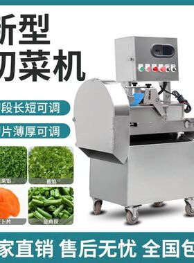 变频调速多功能切段切片切丝机不锈钢切菜机酸菜切丝机黄瓜切片机