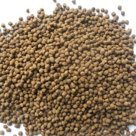 全套宠物食品生产线 狗粮加工设备 立烨机械水产饲料生产线设备