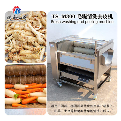 商用土豆去皮脱皮机 红薯莲藕去皮机 毛辊芋头去皮清洗机