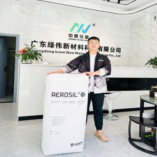 德固赛赢创消光粉TS100 易分散消光性透明度好 降低光泽度 开票