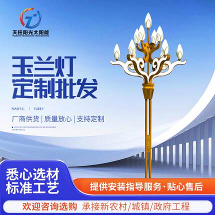 LED户外广场玉兰灯6米8米市政园林景区道路照明大功率中华景观灯