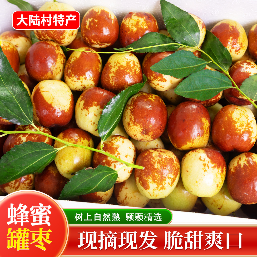山东特产蜜罐枣新鲜水果当季脆甜鲜枣冬枣产地现摘现发清园中小果