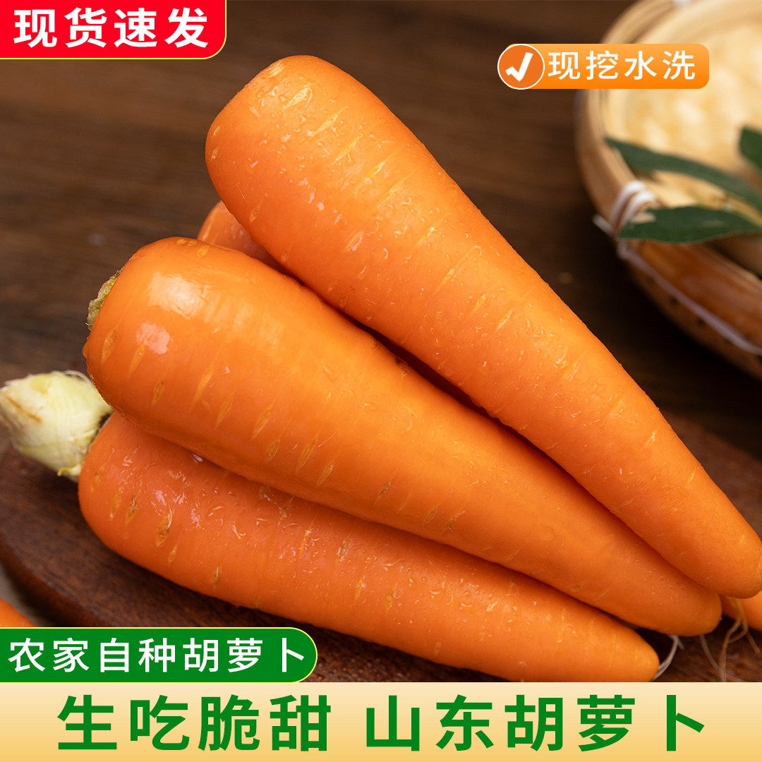 新鲜农家胡萝卜脆甜可口现挖山东产地水洗净胡萝卜健康蔬菜红萝卜,水产肉类/新鲜蔬果/熟食,萝卜/胡萝卜,淘宝优惠券,粉丝福利购,淘宝优惠卷
