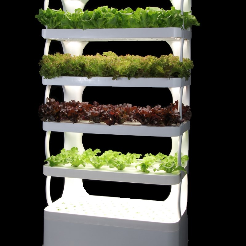 智能全自动无土栽培水培蔬菜种植机家庭种菜