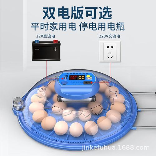 小飞碟孵化器小型家用孵化机智能全自动控温孵蛋器翻补水