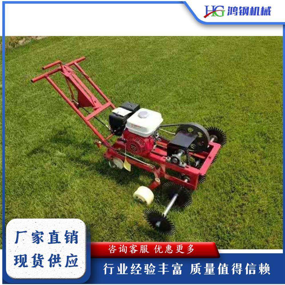 小型汽油草坪划线机手推式天然草皮移植机自动宽幅旋刀剪草机,农机/农具/农膜,植保机械,淘宝优惠券,粉丝福利购,淘宝优惠卷