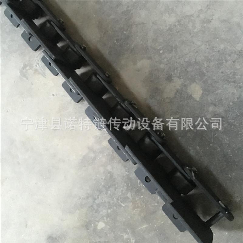 非标不锈钢输送机输送链工业传动链条单双排输送链条滚子链条