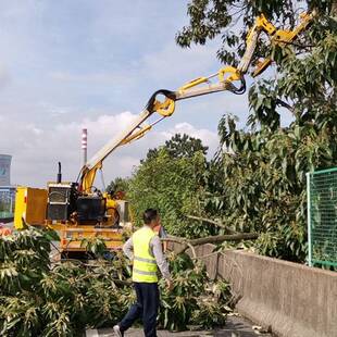 公路边坡高枝绿篱修剪机园林绿化草坪修剪机城市高枝树篱修剪车