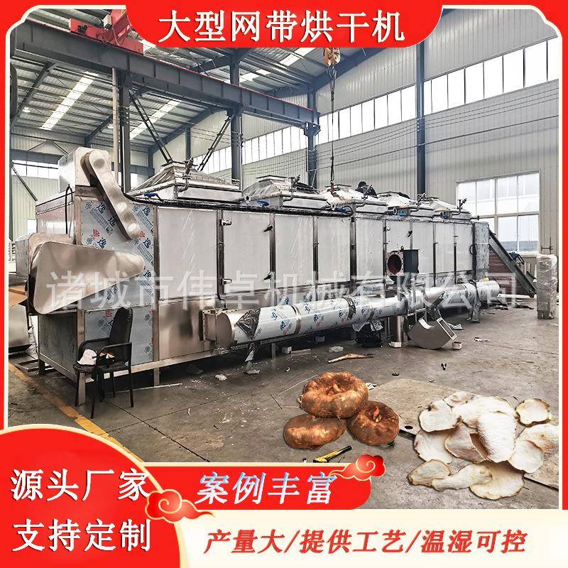 连续式山菜清洗烘干设备多层带式烘干机梅干菜烘干设备空气能干燥