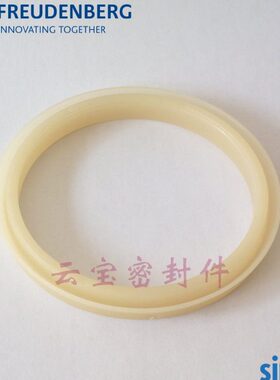 FESTO DNC-80-PPV-A 进口德国CFW密封圈NAP300-80*68*8.5(E4通用)