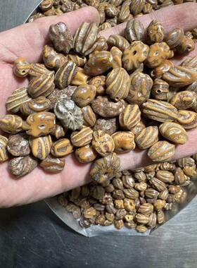 白玉龙骨菩提子原籽打孔龙脊菩提子原料佛手猫爪菩提籽贝玉菩提子