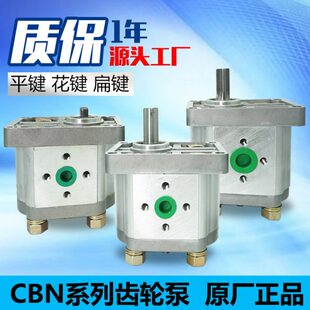 液压油泵高压齿轮泵CBT 310 320 325泵头 306 316 F304 CBN 314