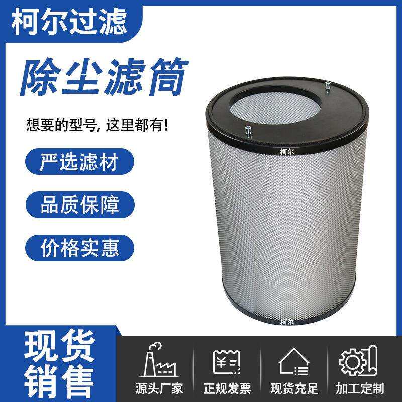 替代AERZEN艾珍罗茨风机空气过滤器滤芯176206000空压机偏心滤芯