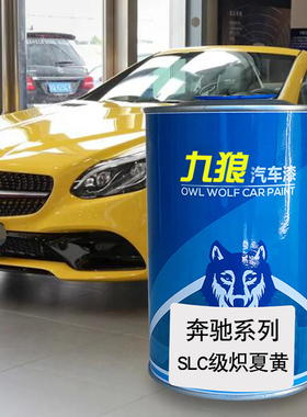 九狼汽车漆奔成品驰改色全车R级漆BSLC炽夏黄色金色水晶棕依银色
