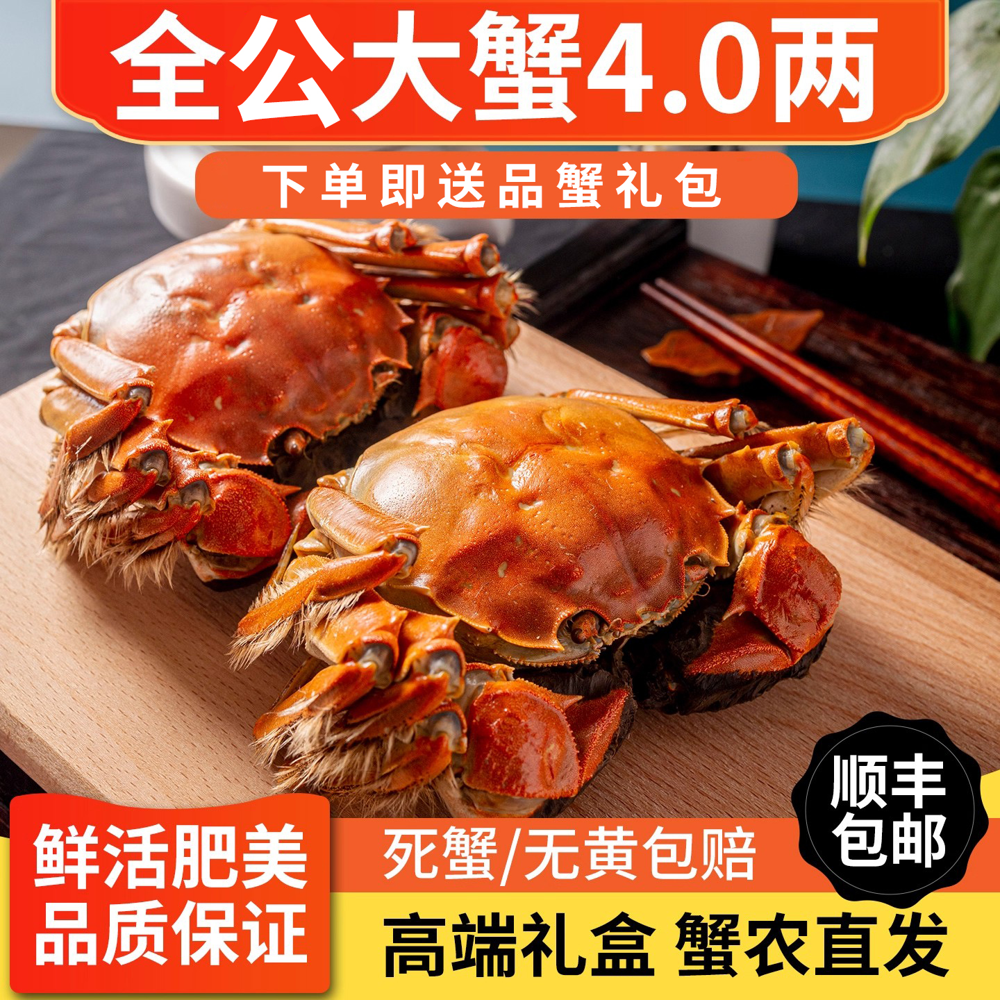 【精品九指公蟹】净重无绳鲜活大闸蟹现货大闸蟹全公蟹礼盒装顺丰