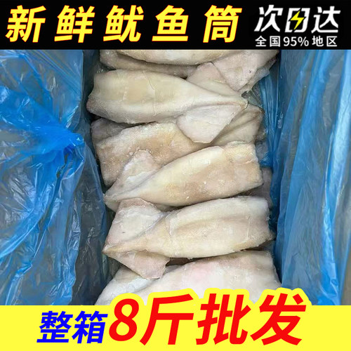新鲜冷冻去皮鱿鱼筒酒店商用食材