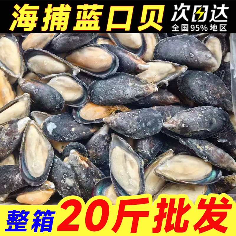 鲜冻蓝口贝国产半壳青口贝黑口贝冷冻新鲜半壳一整箱20斤商用批发