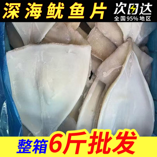 海捕鱿鱼冷冻新鲜商用批发酒店