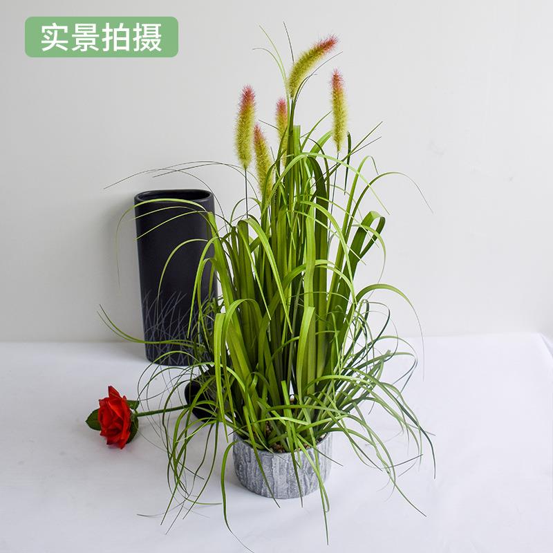 仿真狗尾巴草绿植摆件盆景家居装饰植物盆栽狗尾草