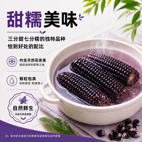 康宇田源黑甜糯玉米非转基因
