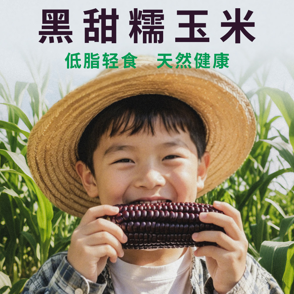 【送精美品牌定制袋 坏果包赔】甜糯黑玉米非转基因真空独立包装