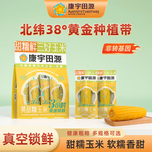0添加220g 25年糯黄玉米棒五寨甜糯低脂新鲜真空包装 康宇田源