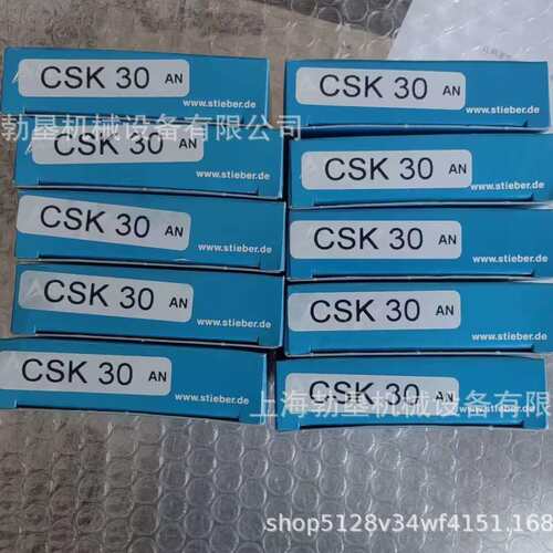 【德国STIEBER轴承】GFR100轴承GFRN100轴承STIEBER单向离合器轴