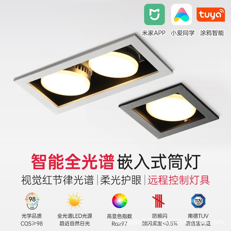 led筒灯天花灯嵌入式双头斗胆客厅无主灯护眼过道智能gx53