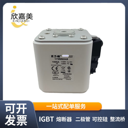 巴斯曼快速低压熔断器170M6544