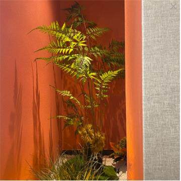 室内景观仿真金丝蕨造盆栽植物蕨类绿植仿生微景观景猴头蕨