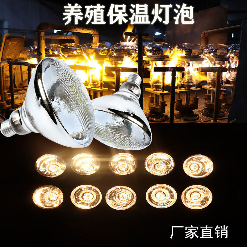 保温灯养殖加厚畜牧保温灯泡防水红外线小鸡仔猪烤灯养殖取暖灯