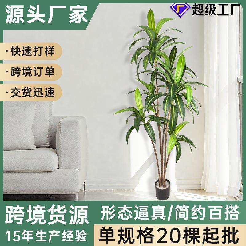 亚马逊新款仿真巴西铁富贵叶巴西木客厅酒店商场橱窗大型落地摆件