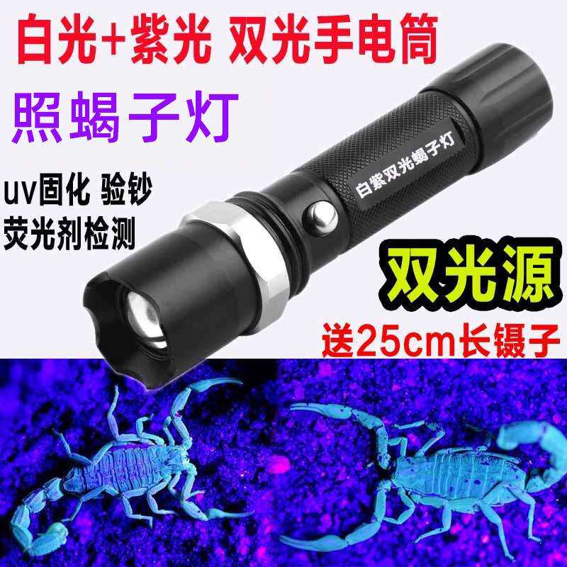 照蝎子强光紫光灯紫白双光两用变模型制作工具/辅料耗