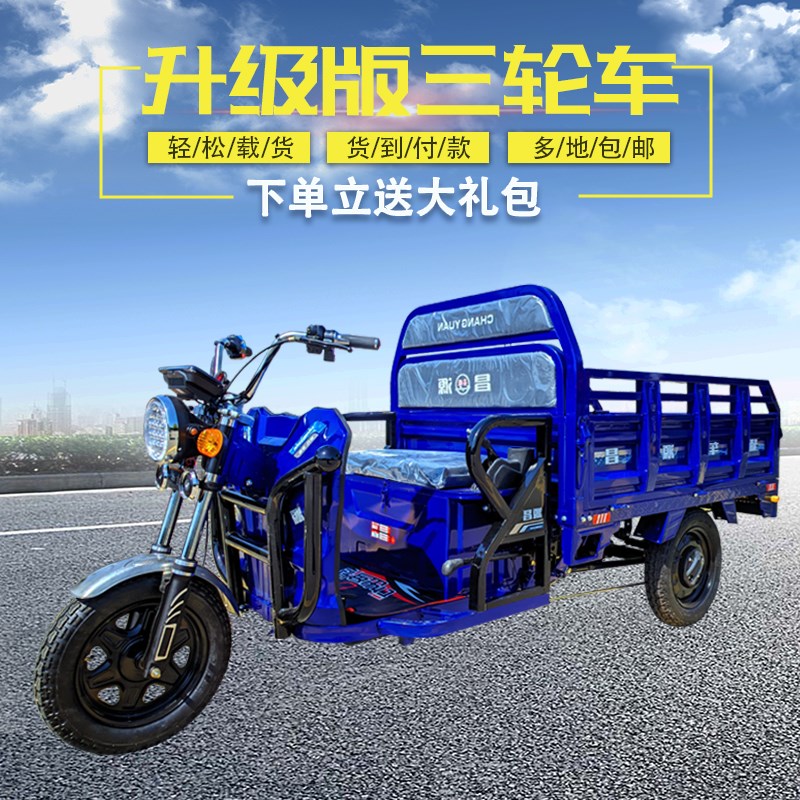常州电动三轮车可上牌国标快递拉货家用农用摆摊载货载重王电瓶车