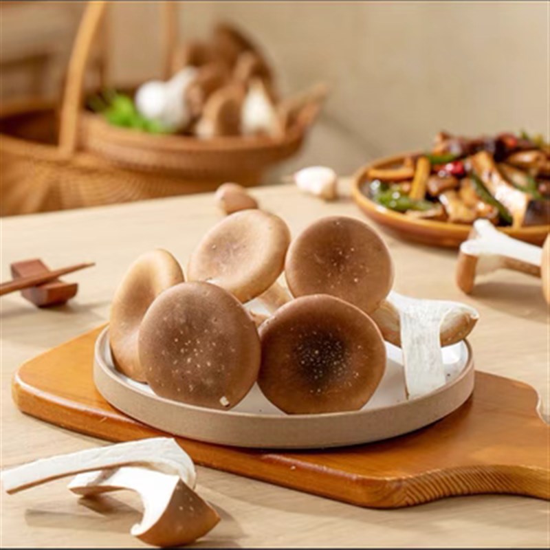 新鲜食用菌菇猪肚菇 大伞菌 漏斗菇喇叭菇250g 炖汤猪肚口感嫩滑