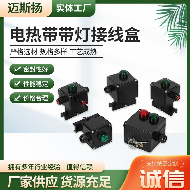 电伴热带带指示灯接线盒 电伴热带带灯防爆温控器 带灯电源接线盒